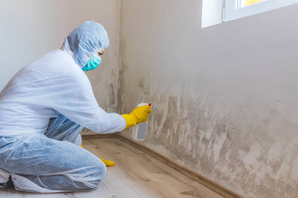 Hvac And Air Duct Mold Remediation inspection of HVAC system in Occoquan