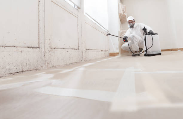Black mold remediation team in Occoquan