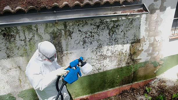 Mold Removal service in Occoquan